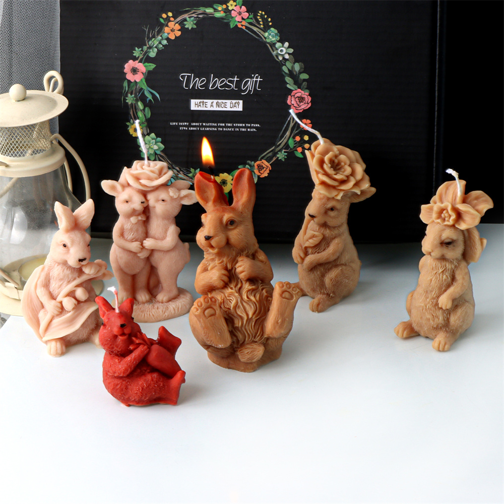 Moule 3D en Silicone pour boug - Bunny Cake Mold avis et prix